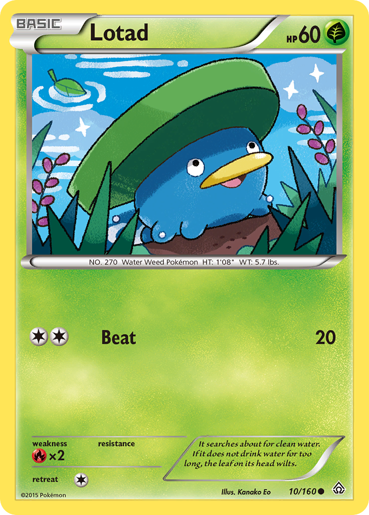 Lotad 010/164 Common