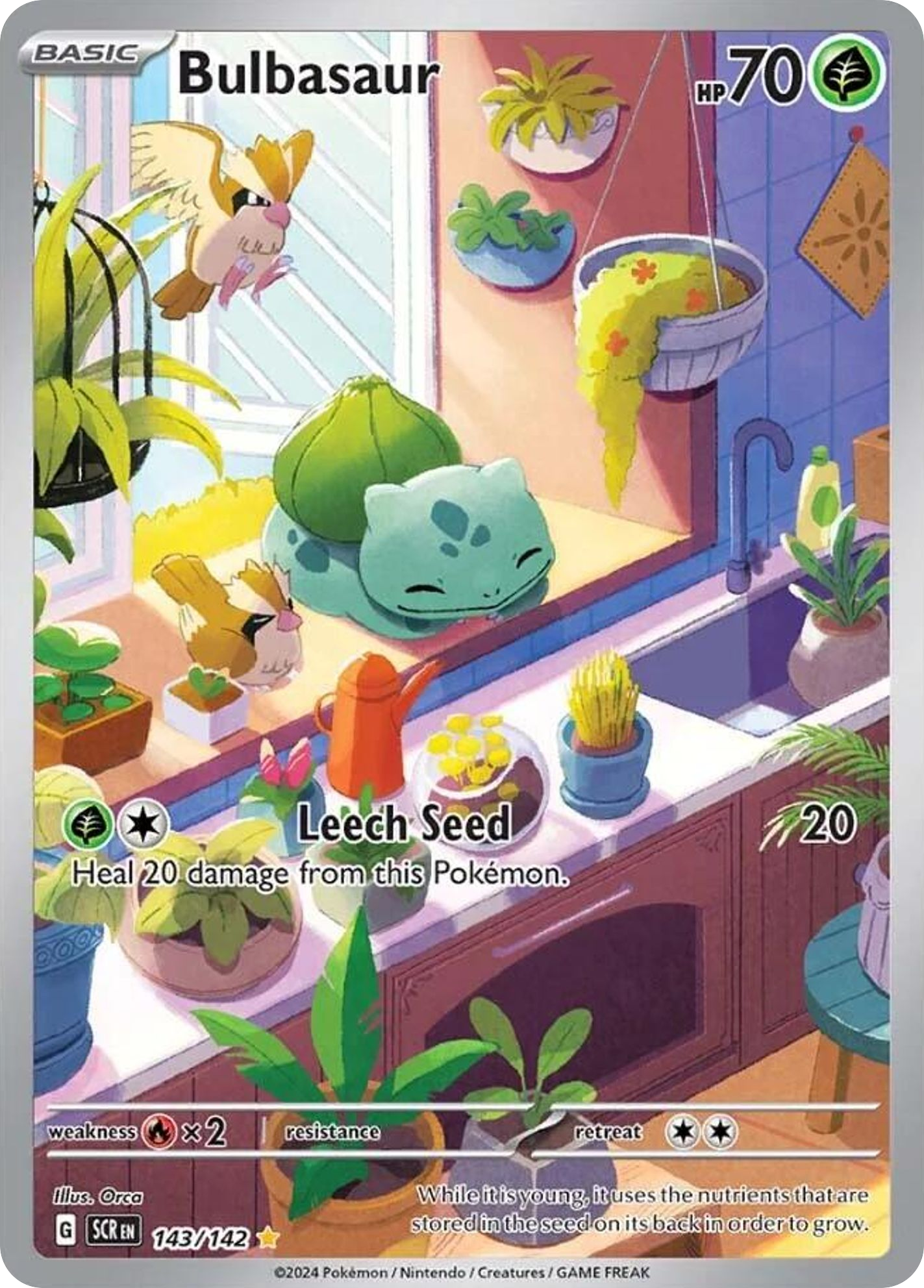 Bulbasaur 143/175 Illustration Rare