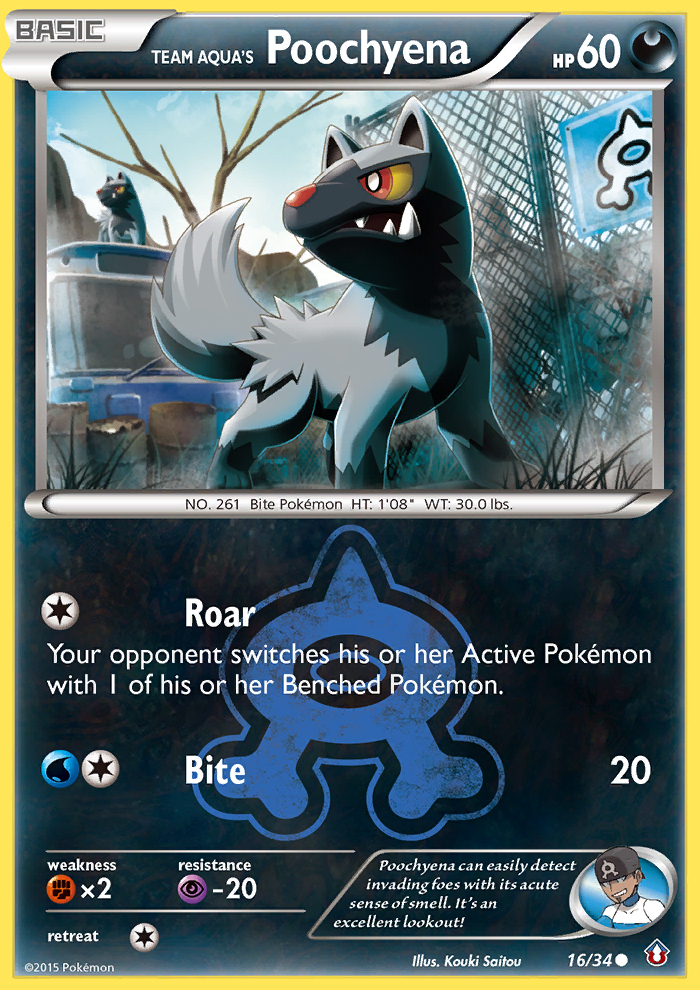 Team Aqua's Poochyena 016/34 Common