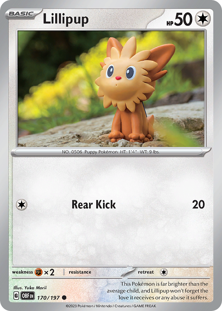 Lillipup 170/230 Common