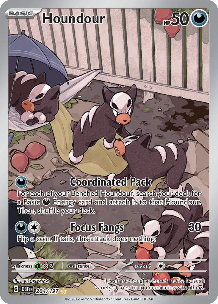 Houndour 204/230 Illustration Rare