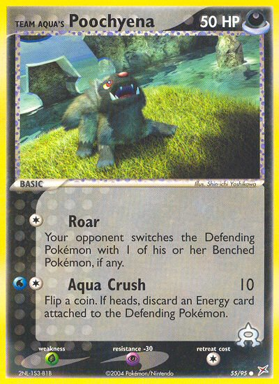 Team Aqua's Poochyena 055/97 Common