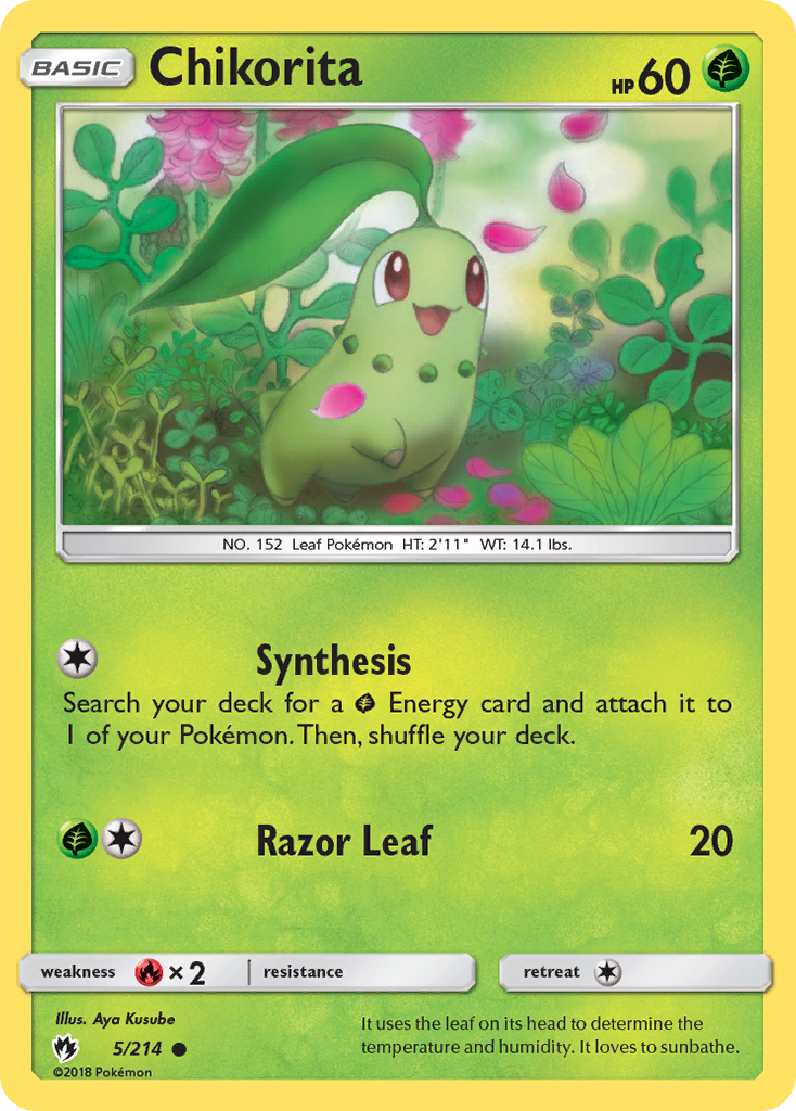 Chikorita 005/240 Common
