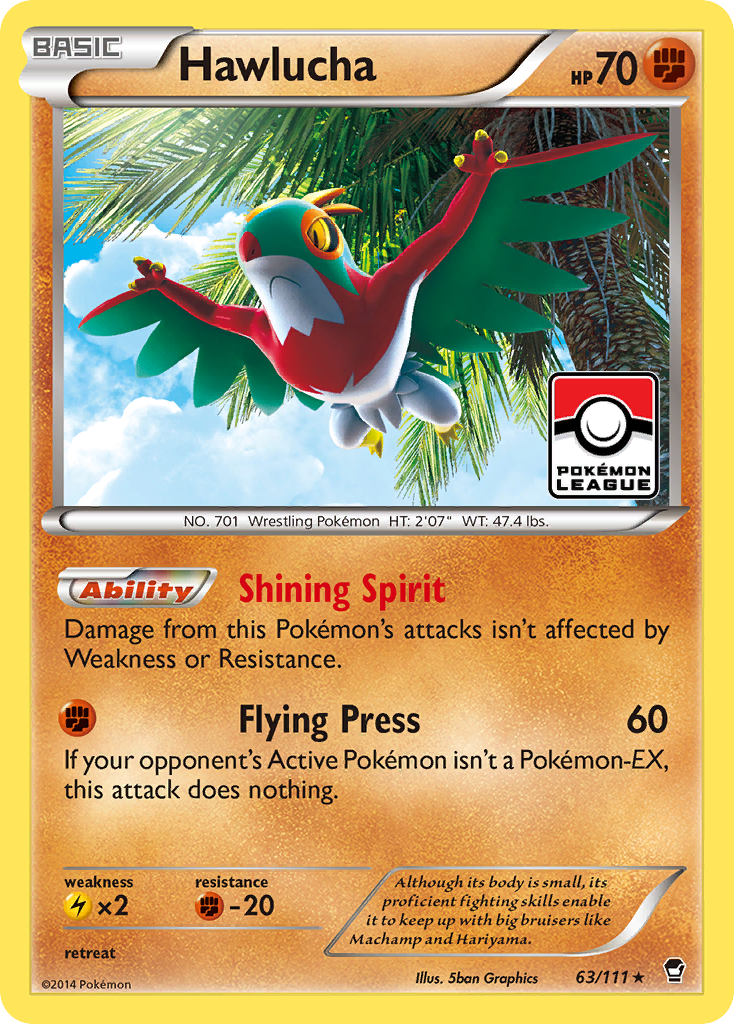 Hawlucha 063/114 Rare Holo