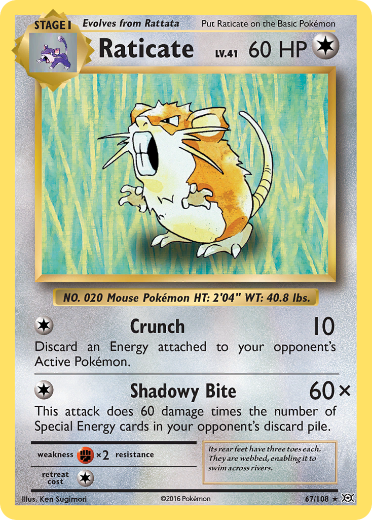 Raticate 067/113 Rare