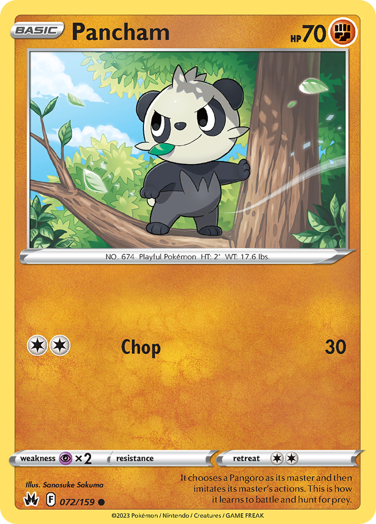 Pancham 072/160 Common