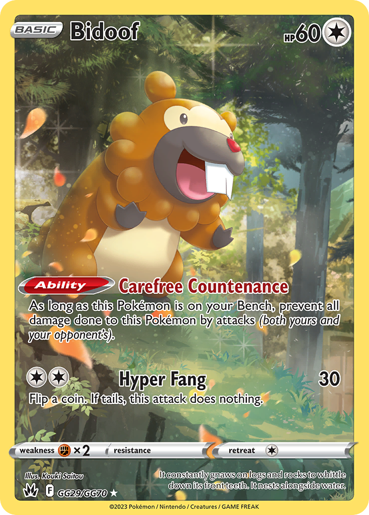Bidoof 029/70 Trainer Gallery Rare Holo