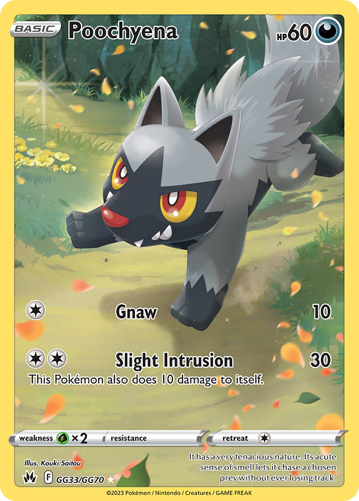 Poochyena 033/70 Trainer Gallery Rare Holo
