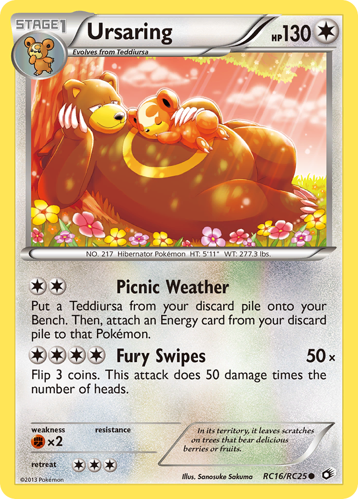 Ursaring 016/140 Common
