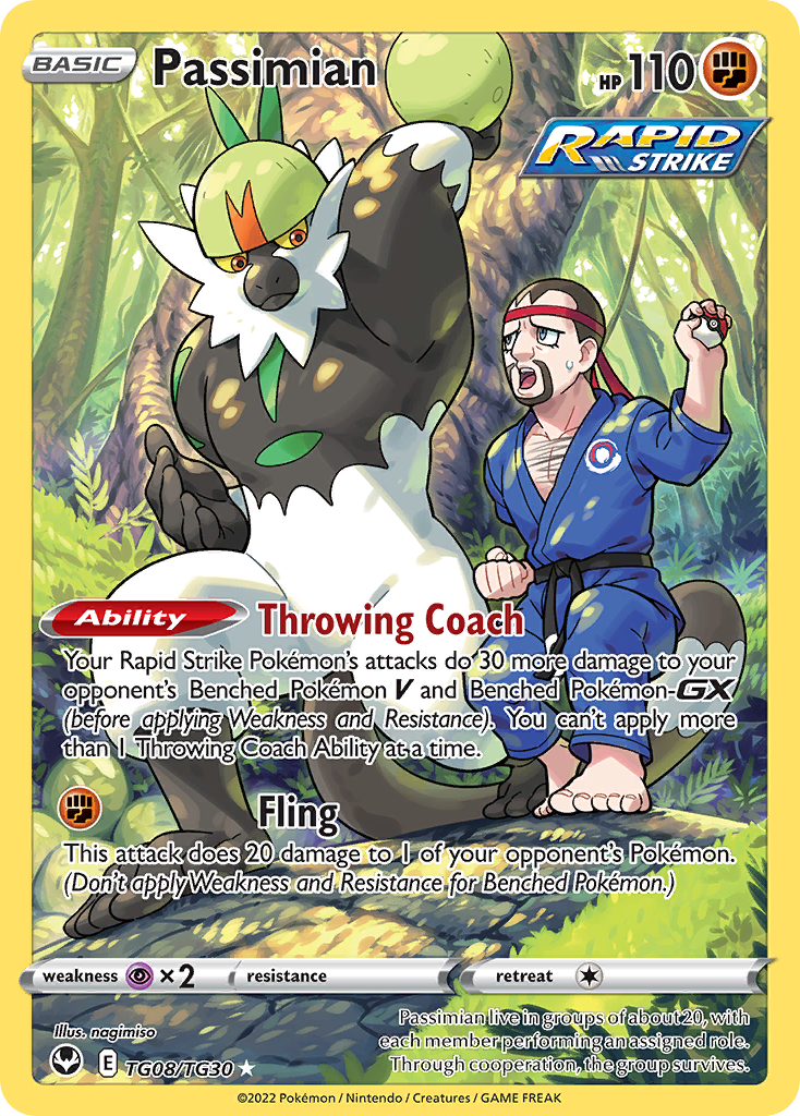 Passimian 008/30 Trainer Gallery Rare Holo