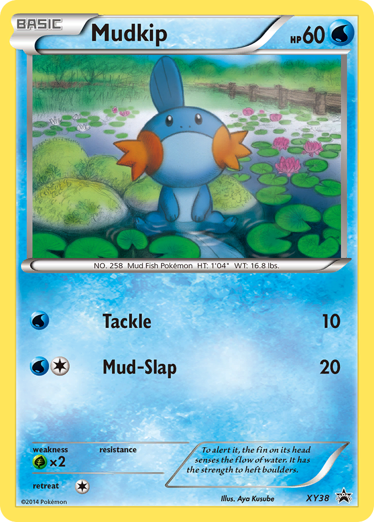 Mudkip 038/216 Promo